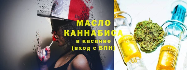 стаф Каменногорск