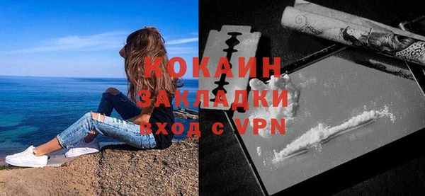mdpv Каменка