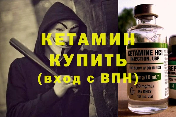 стаф Каменногорск