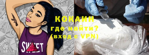 стаф Каменногорск